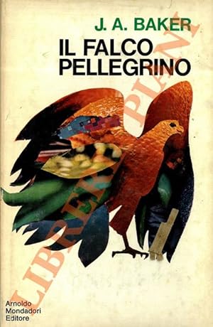 Il falco pellegrino.