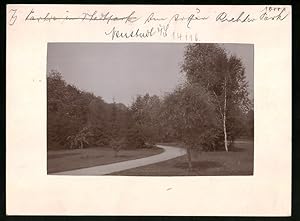 Bild des Verkufers fr Fotografie Brck, Sohn Meissen, Ansicht Neustadt i. Sa., Partie im Arthur-Richter-Park zum Verkauf von Bartko-Reher