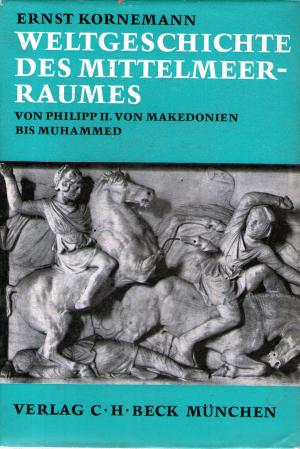 Weltgeschichte des Mittelmeerraumes. Von Philipp II. von Makedonien bis Muhammed