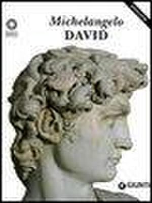Seller image for Michelangelo : David for sale by AHA-BUCH GmbH
