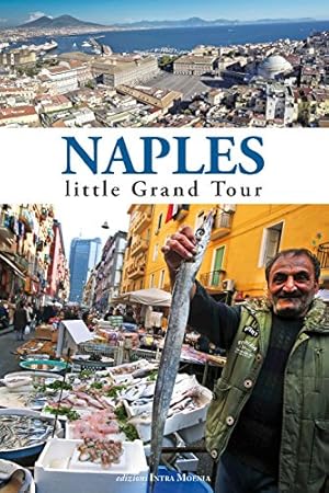 Imagen del vendedor de Naples. Little grand tour a la venta por WeBuyBooks