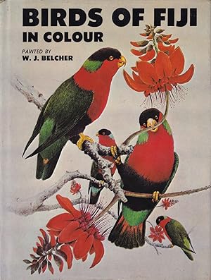 Seller image for BIRDS OF FIJI IN COLOUR. Painted by W.J. Belcher. With ornithological notes by R.B. Sibson. for sale by Coch-y-Bonddu Books Ltd