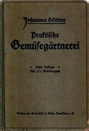 Bild des Verkufers fr Praktische Gemsegrtnerei. zum Verkauf von Versandantiquariat Boller