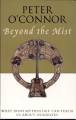 Seller image for Beyond the Mist: What Irish Mythology Can Teach Us About Ourselves for sale by Hill End Books