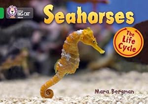 Seller image for Seahorses (Paperback) for sale by CitiRetail