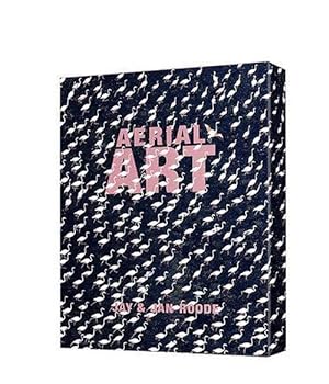 Seller image for Aerial Art - Standard Editon (Hardcover) for sale by CitiRetail