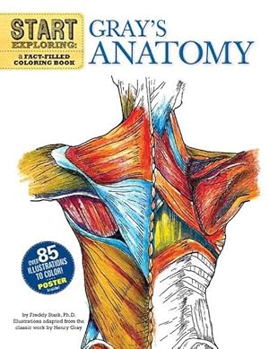 Immagine del venditore per Start Exploring: Gray's Anatomy (Paperback) venduto da CitiRetail