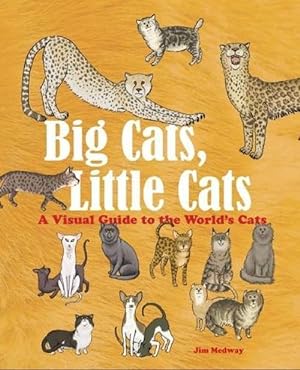 Imagen del vendedor de Big Cats, Little Cats (Hardcover) a la venta por CitiRetail