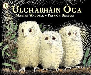 Imagen del vendedor de Ulchabhin ga (Owl Babies) (Paperback) a la venta por CitiRetail