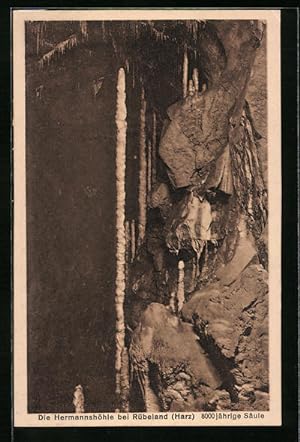 Ansichtskarte Hermannshöhle bei Rübeland, 8000 jährige Säule