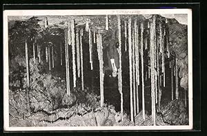 Ansichtskarte Tropfsteinwäldchen aus der Katharinrnhöhle