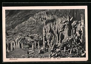 Ansichtskarte Rübeland, Hermannshöhle, Der Wald