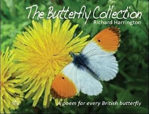Seller image for The Butterfly Collection (Hardcover) for sale by CitiRetail
