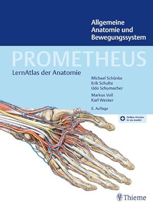 Bild des Verkufers fr PROMETHEUS Allgemeine Anatomie und Bewegungssystem : LernAtlas der Anatomie zum Verkauf von AHA-BUCH GmbH