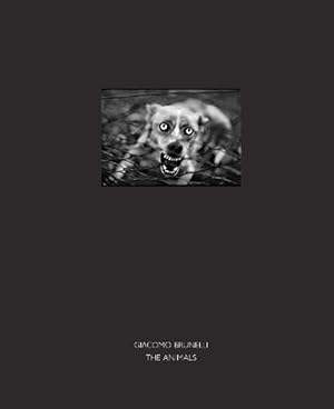 Seller image for The Animals (Hardcover) for sale by CitiRetail