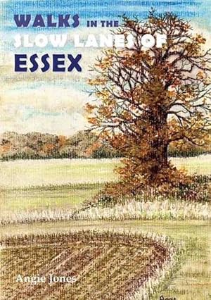 Imagen del vendedor de Walks in the Slow Lanes of Essex (Paperback) a la venta por CitiRetail