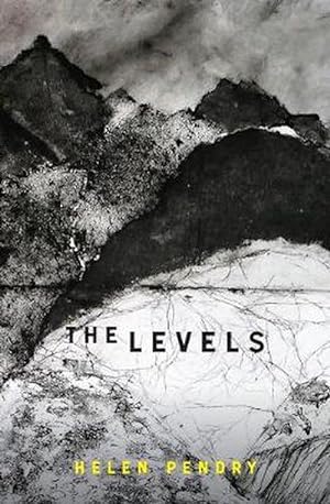 Seller image for The Levels (Paperback) for sale by CitiRetail
