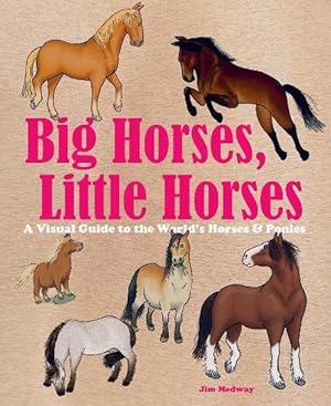 Imagen del vendedor de Big Horses, Little Horses (Hardcover) a la venta por CitiRetail