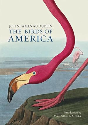 Imagen del vendedor de The Birds of America (Hardcover) a la venta por CitiRetail