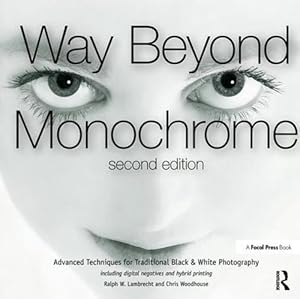 Imagen del vendedor de Way Beyond Monochrome 2e (Paperback) a la venta por CitiRetail