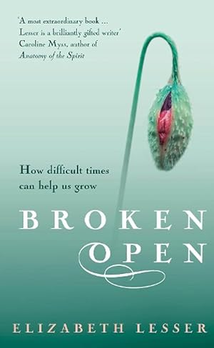 Immagine del venditore per Broken Open (Paperback) venduto da CitiRetail