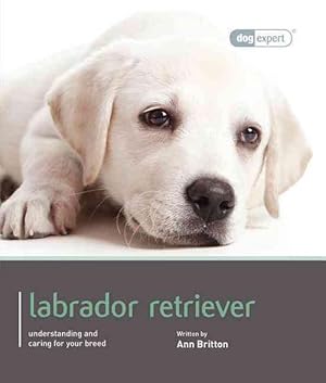 Seller image for Labrador - Dog Expert (Paperback) for sale by CitiRetail