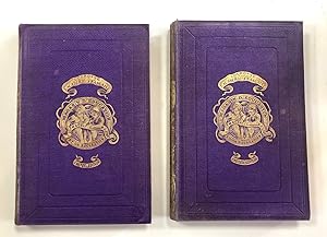 Magasin d'éducation et de récréation Année 1877 Volumes 25 et 26 - Edition Originale de Hector Se...