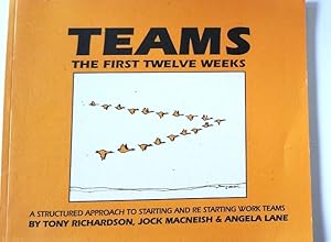 Teams The First Twelve Weeks - a structured approach to starting and re starting work teams