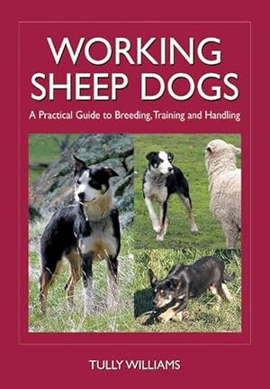 Seller image for Working Sheep Dogs (Paperback) for sale by CitiRetail