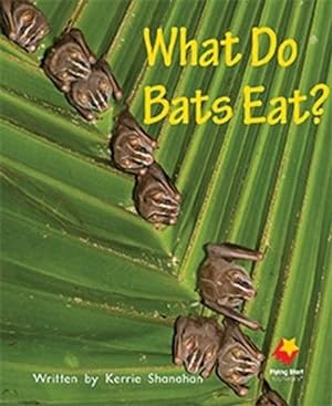 Seller image for What Do Bats Eat? (Paperback) for sale by CitiRetail