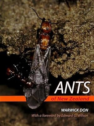 Bild des Verkufers fr Ants of New Zealand (Hardcover) zum Verkauf von CitiRetail