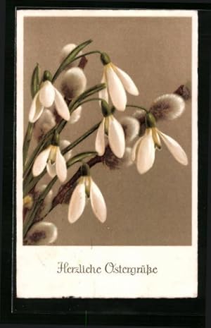 Ansichtskarte Ostergrüsse mit blühenden Schneeglöckchen und Weidenkätzchen