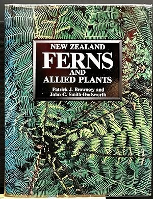 New Zealand Ferns and Allied Plants