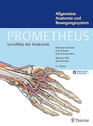 Bild des Verkufers fr PROMETHEUS Allgemeine Anatomie und Bewegungssystem zum Verkauf von moluna