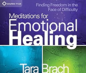 Immagine del venditore per Meditations for Emotional Healing: Finding Freedom in the Face of Difficulty (Compact Disc) venduto da CitiRetail