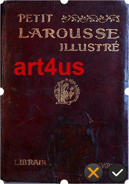Image du vendeur pour Petit Larousse Illustre : Nouveau Dictionnaire Encyclopedique mis en vente par art4us - Antiquariat