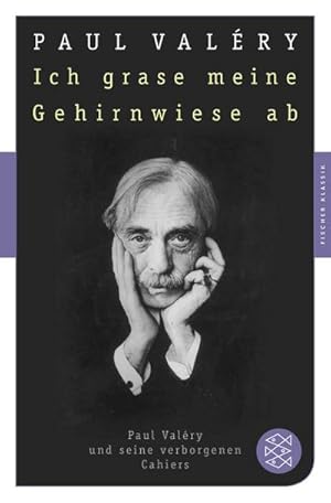 Imagen del vendedor de Ich grase meine Gehirnwiese ab : Paul Valry und seine verborgenen Cahiers a la venta por AHA-BUCH GmbH