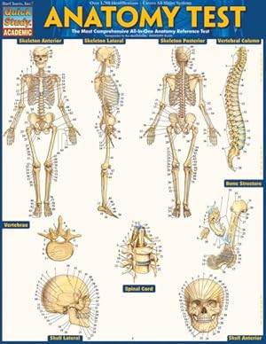 Seller image for Anatomy Test for sale by GreatBookPrices