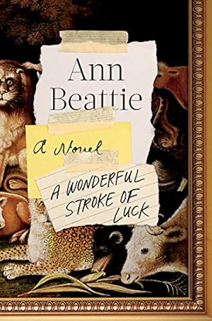 Seller image for A Wonderful Stroke of Luck: A Novel for sale by Reliant Bookstore