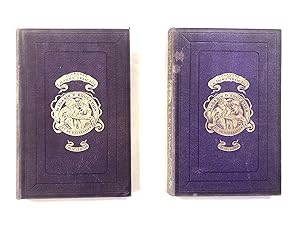Magasin d'Education et de Récréation 1881 17eme Année, Volumes 33 et 34