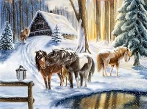 Bild des Verkufers fr Wandkalender Winterpferde : Adventskalender zum Verkauf von AHA-BUCH GmbH