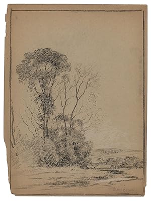 Landscape with trees on the left side.