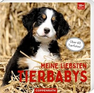 Immagine del venditore per Meine liebsten Tierbabys venduto da Wegmann1855