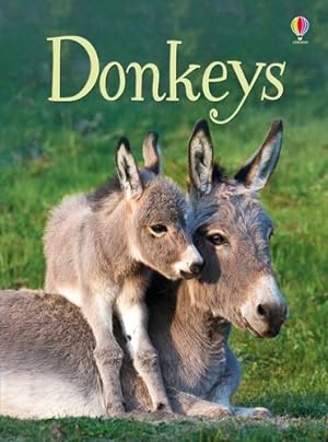 Seller image for Beginners Donkeys for sale by GreatBookPrices