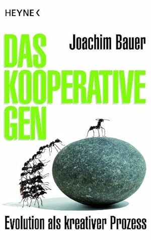 Das kooperative Gen Evolution als kreativer Prozess