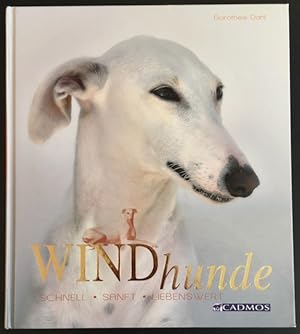Bild des Verkufers fr Windhunde- schnell - sanft - lebenswewrt. zum Verkauf von Antiquariat Im Seefeld / Ernst Jetzer
