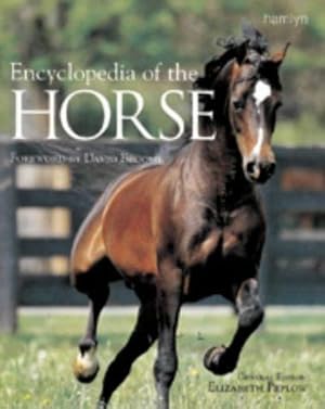 Seller image for Encyclopedia of the Horse for sale by WeBuyBooks