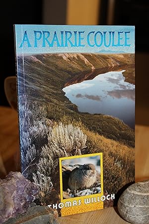 A Prairie Coulee