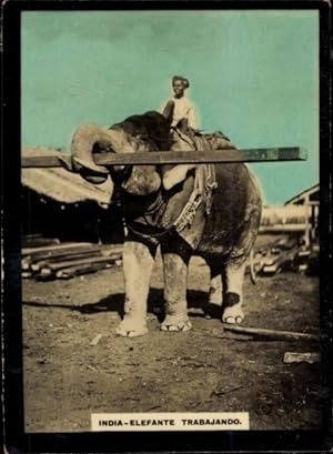 Foto Indien, Elefante Trabajando, Arbeitselefant