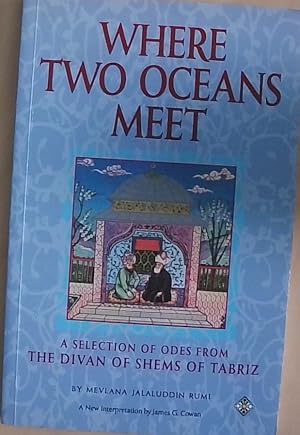Bild des Verkufers fr Where Two Oceans Meet: A Selection of Odes from the Divan of Shems of Tabriz zum Verkauf von Berliner Bchertisch eG